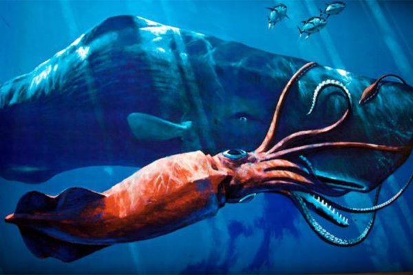 Kraken 9 at клиар ссылка