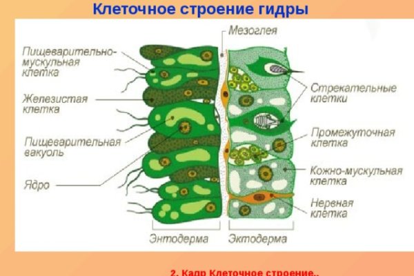 Как восстановить страницу на кракене